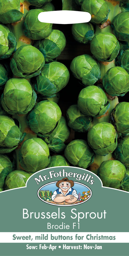 Brussels Sprout seeds