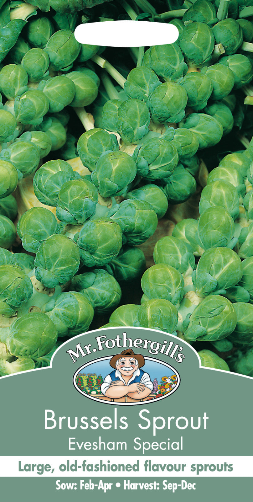 Brussels Sprout seeds